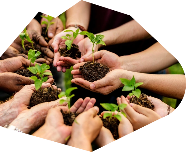 People’s hands with plants